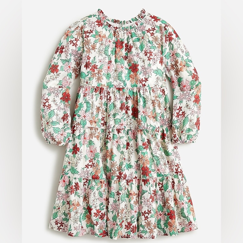 J. Crew/ Crewcuts Holiday Dress